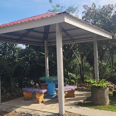 Cabinas El Pilon Rio Celeste Luaran gambar