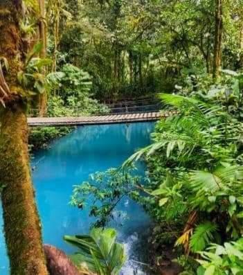 Cabinas El Pilon Rio Celeste Luaran gambar