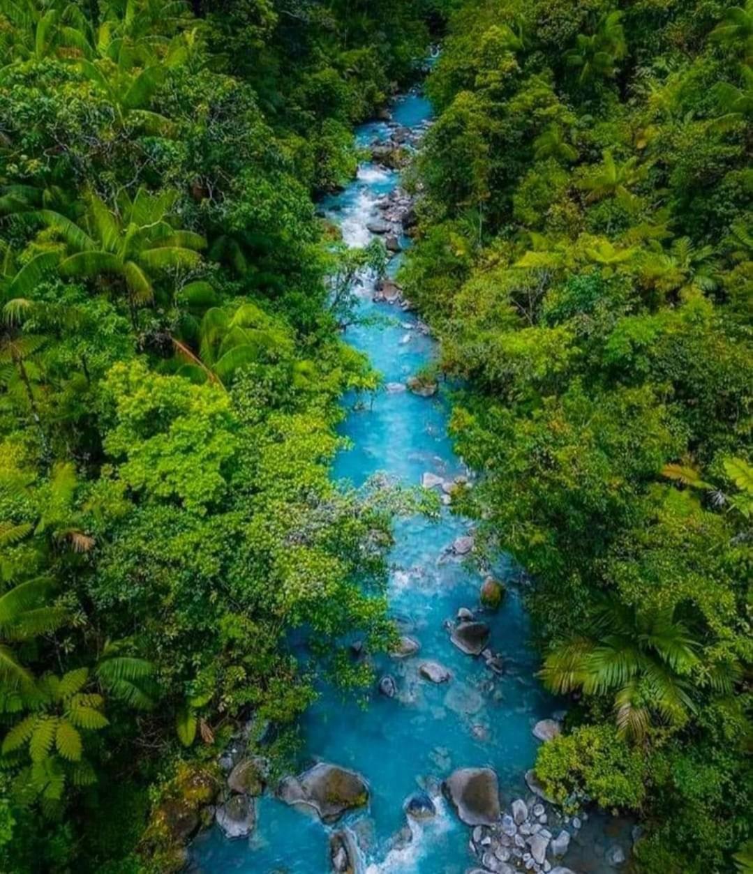 Cabinas El Pilon Rio Celeste Luaran gambar